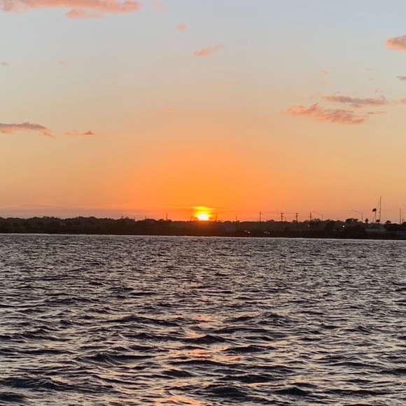 Meet your Posher, Kiley - Picture 1 of 1